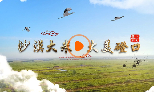 案例企宣-沙漠大(dà)米